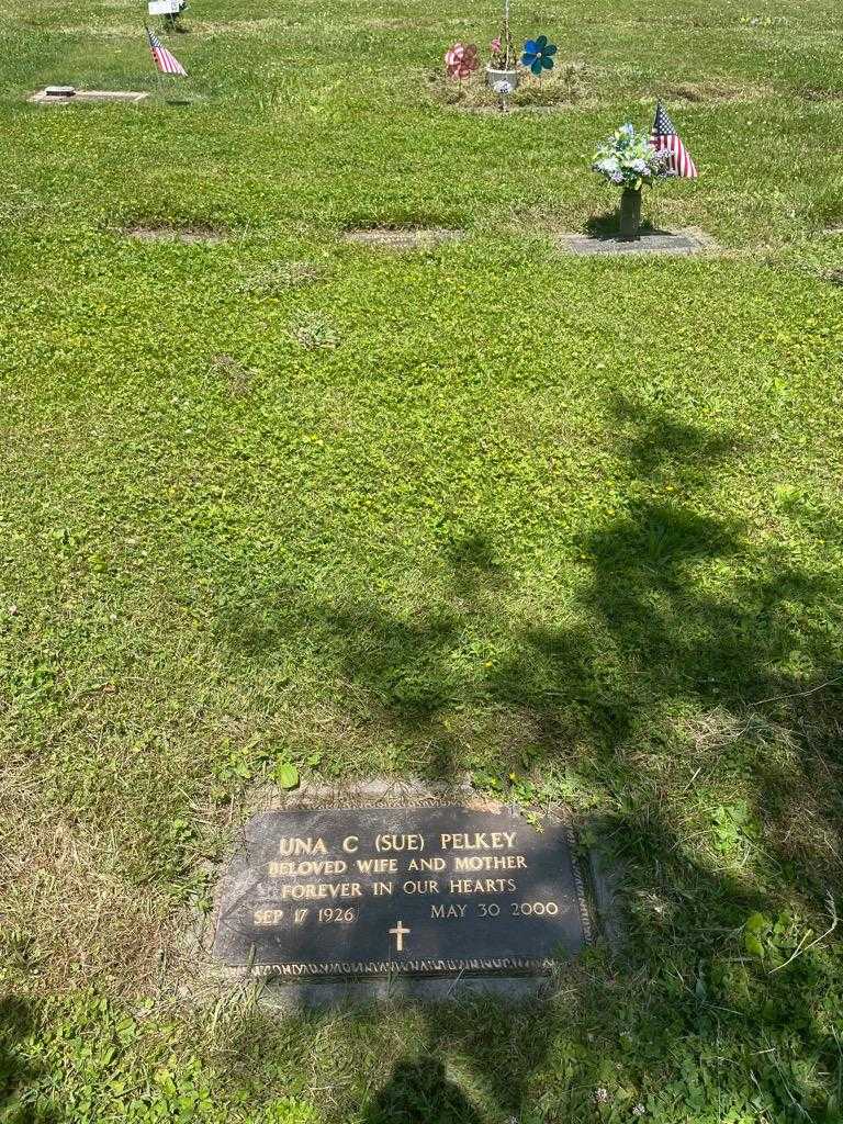 Una C. "Su" Pelkey's grave. Photo 3