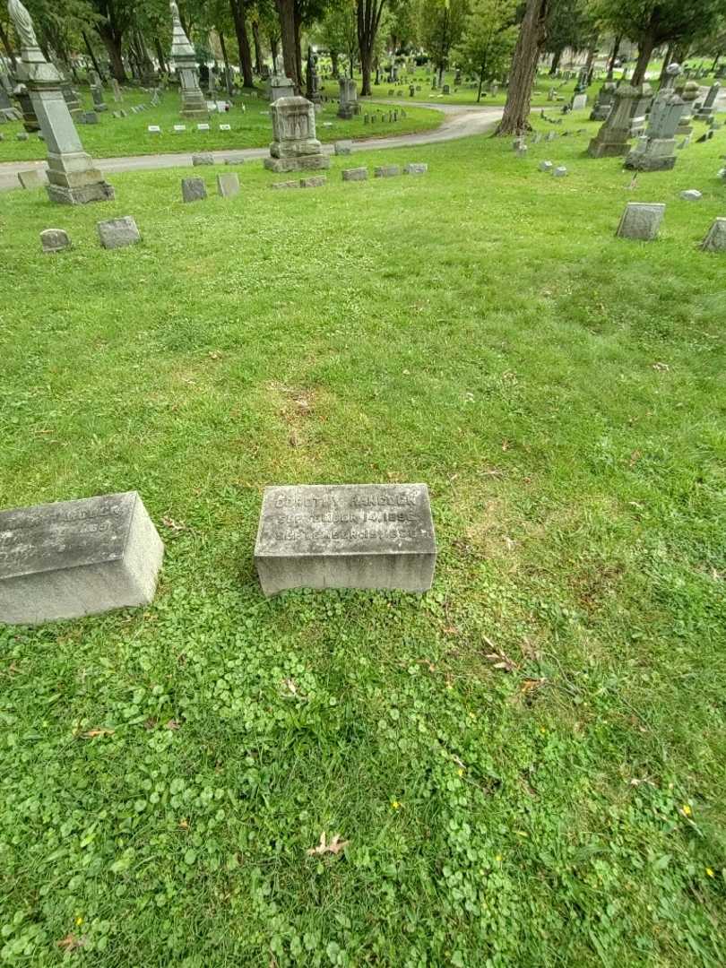 Dorothy Hancock's grave. Photo 1