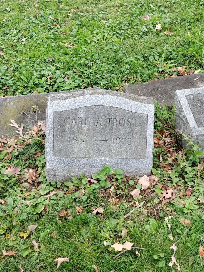 Carl A. Trost's grave. Photo 2