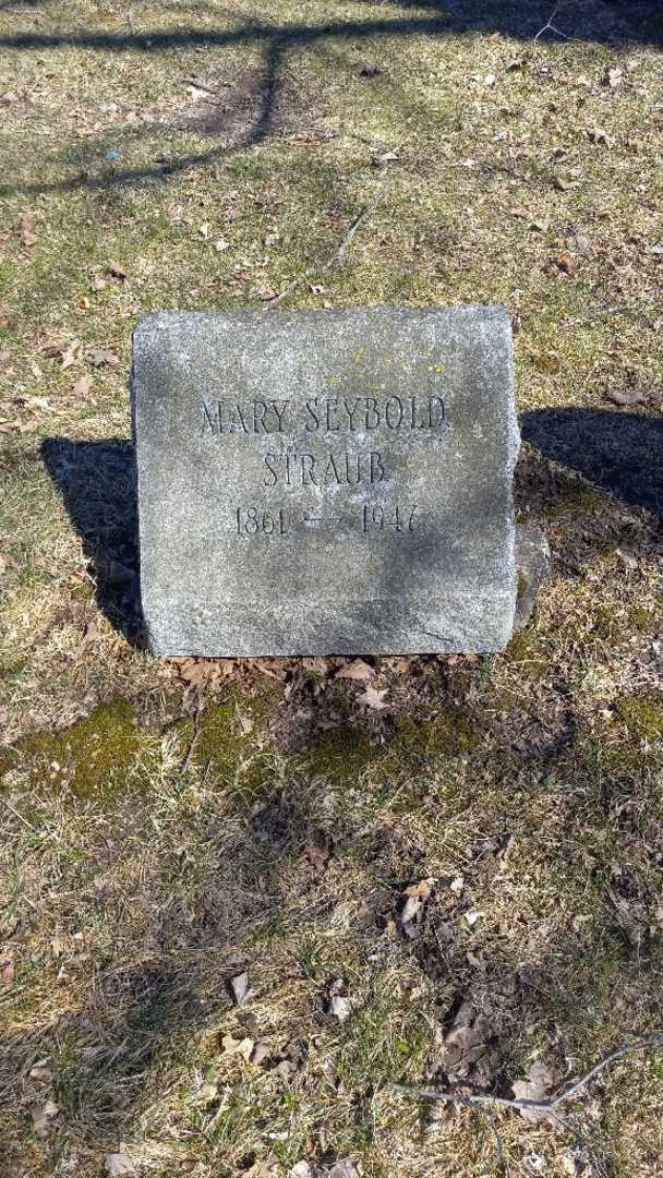 Mary C. Straub's grave. Photo 4