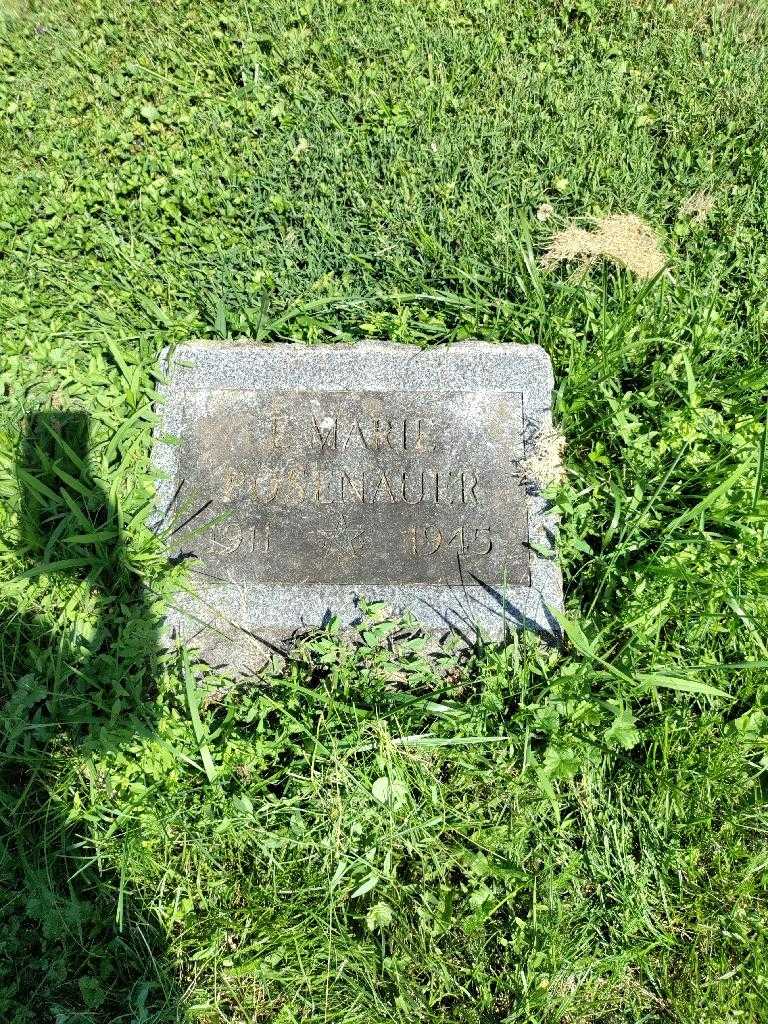 E. Marie Beyrenther Posenaur's grave. Photo 2