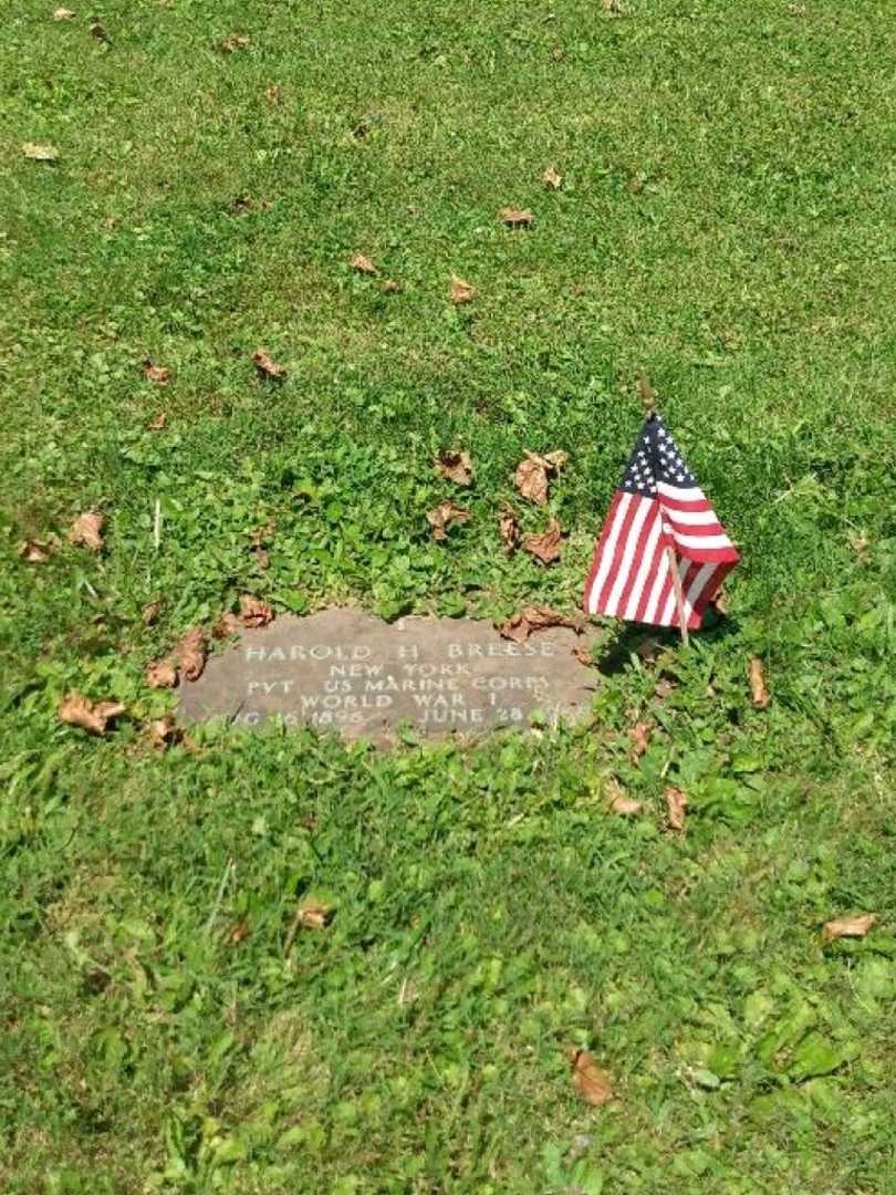 Harold H. Breese's grave. Photo 3