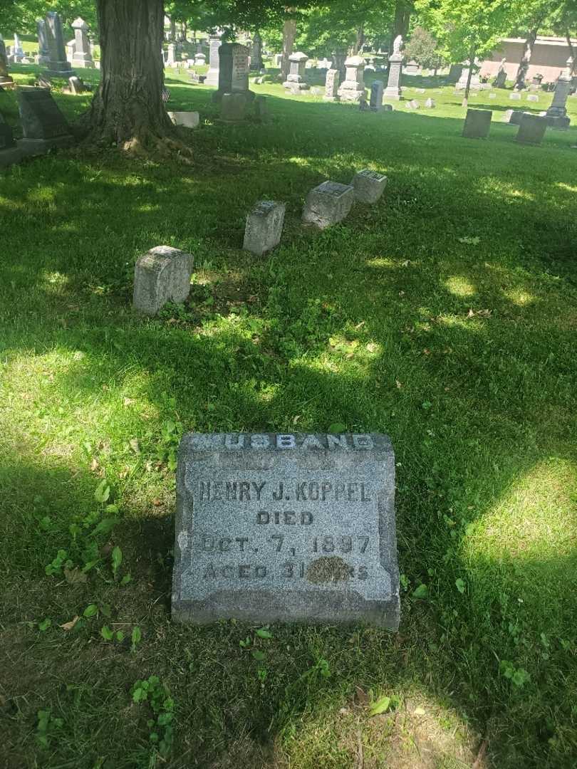 Henry J. Koppel's grave. Photo 3