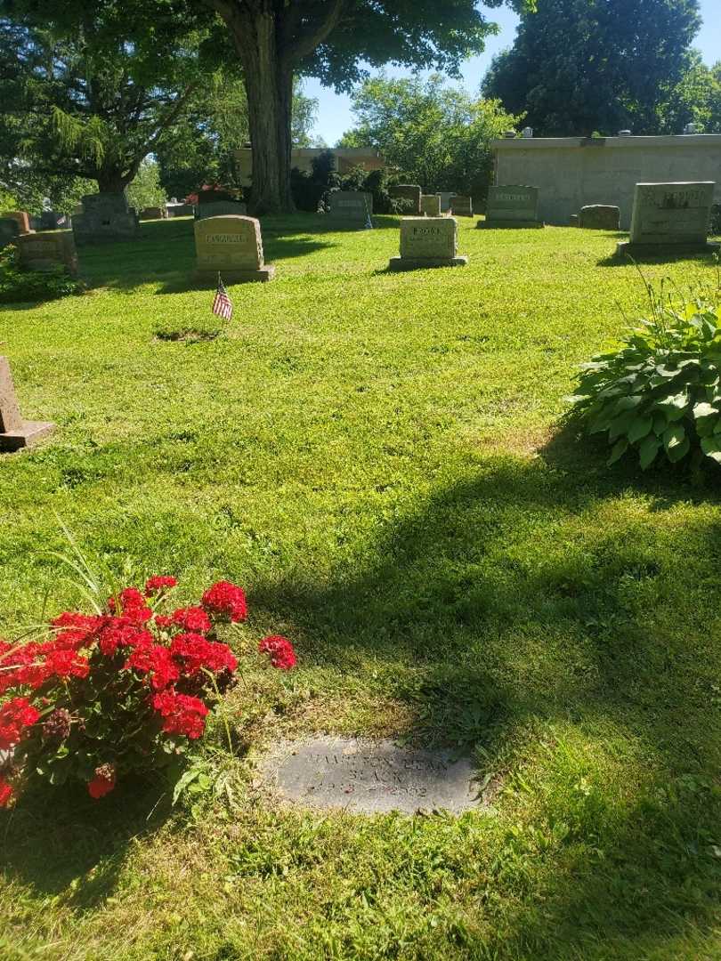 Hamilton Dean Black's grave. Photo 1