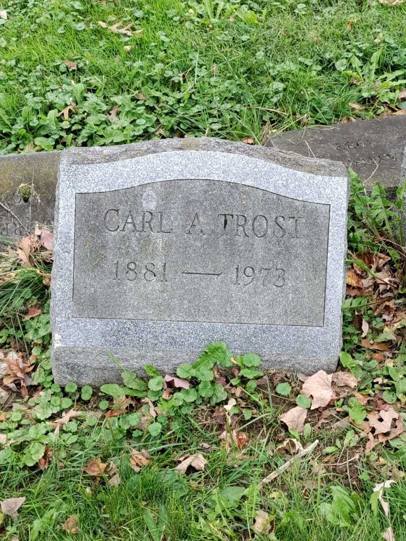 Carl A. Trost's grave. Photo 3