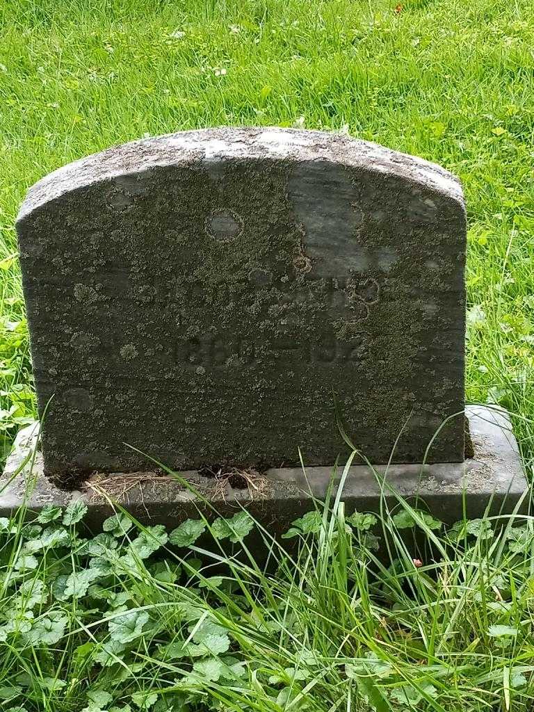 Jacob Gehres's grave. Photo 2