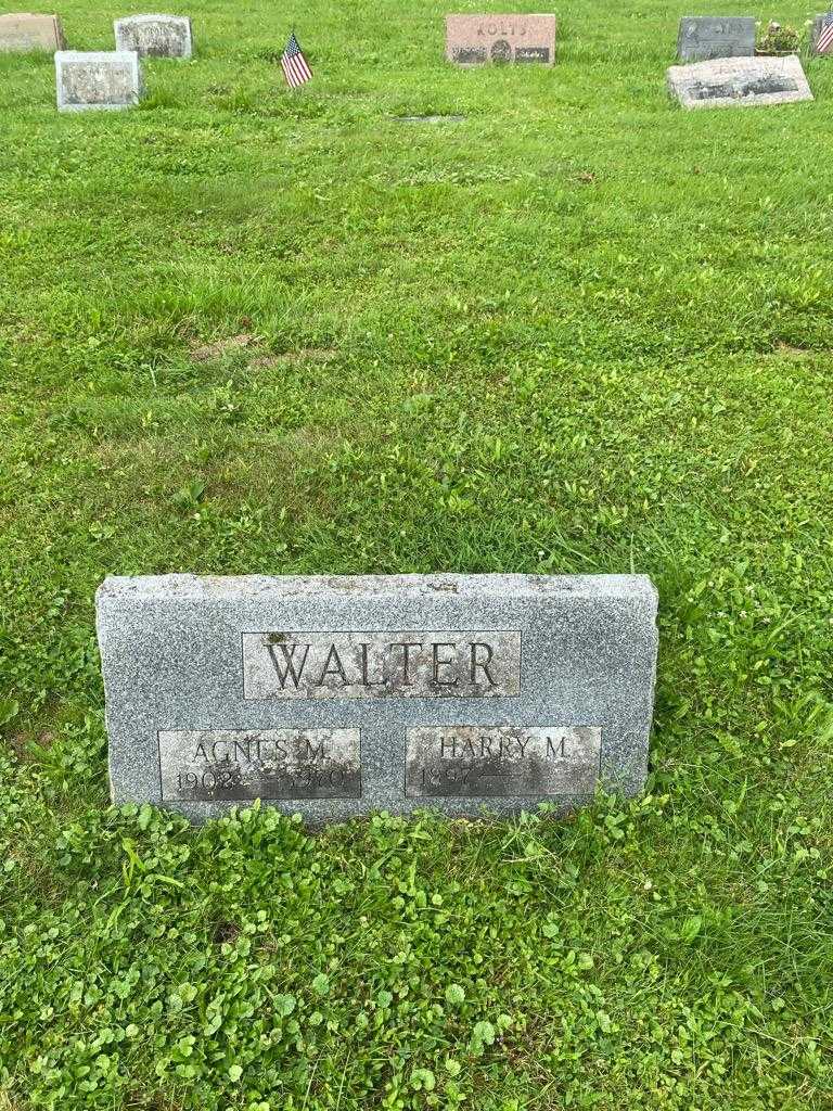 Agnes M. Walter's grave. Photo 2