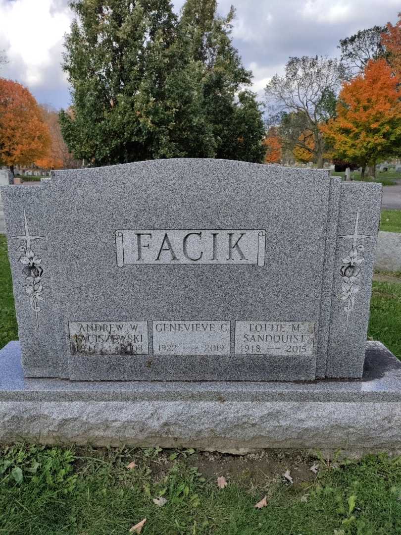 Andrew W. Faciszewski's grave. Photo 1