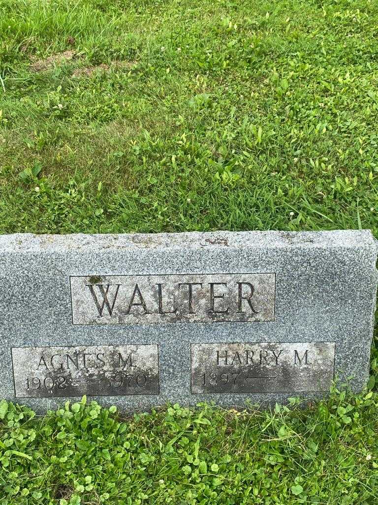 Agnes M. Walter's grave. Photo 3