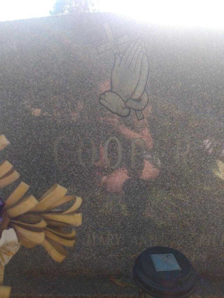 Mary Ann R. Cooper's grave. Photo 3
