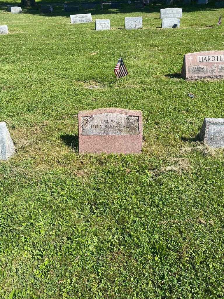 Elena M. Mussienko's grave. Photo 2