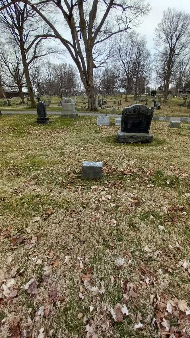 Doroshea Schmidt's grave. Photo 1