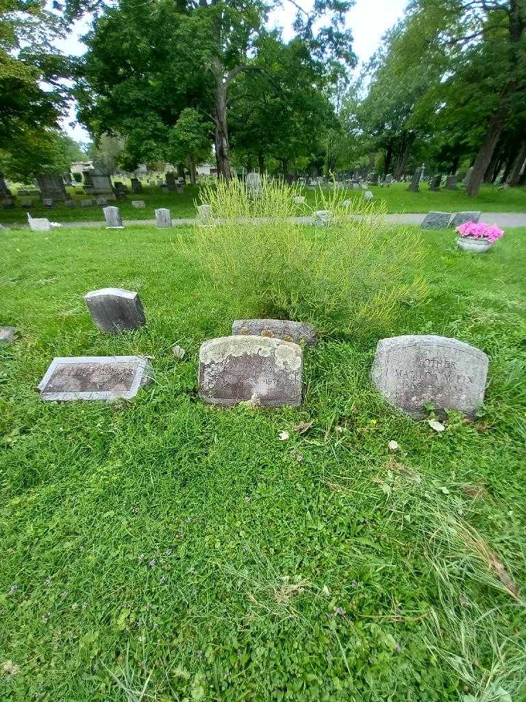 Amelia Fix's grave. Photo 1