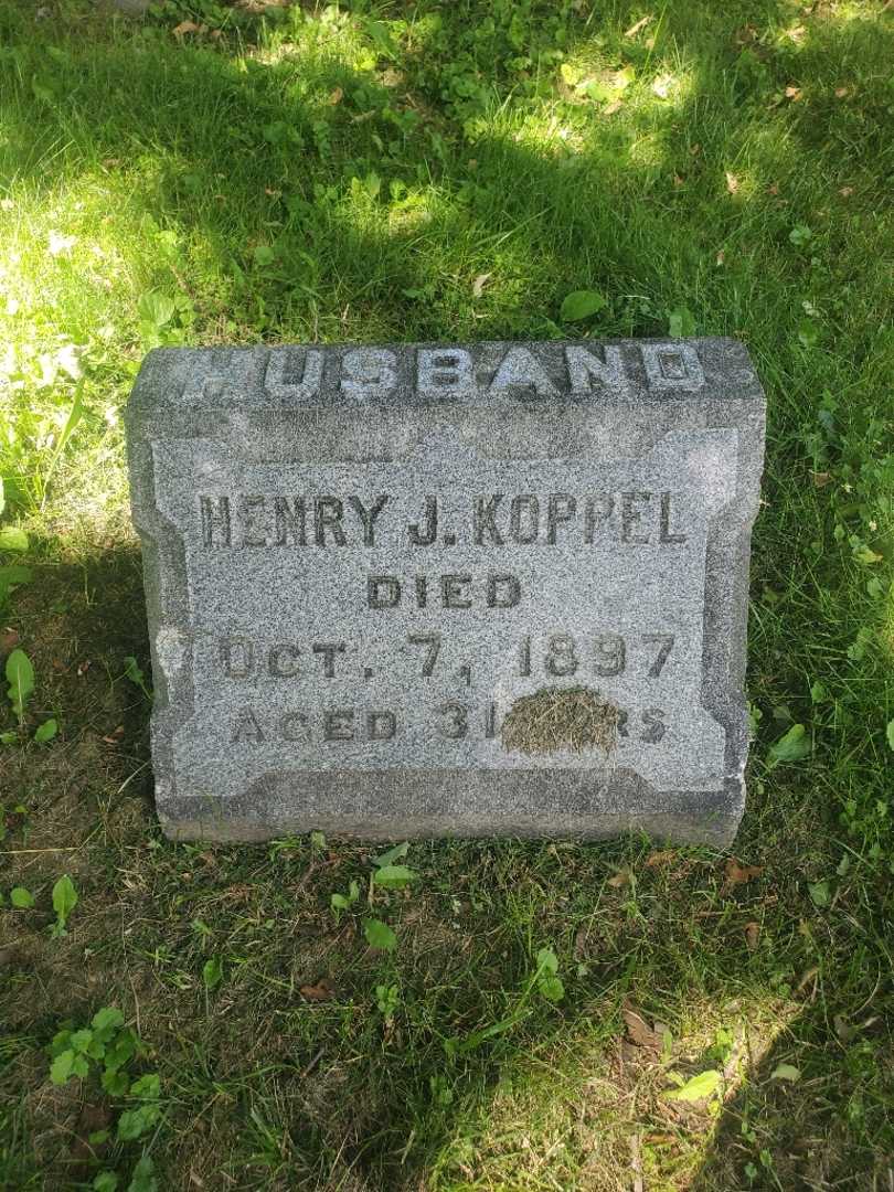 Henry J. Koppel's grave. Photo 4