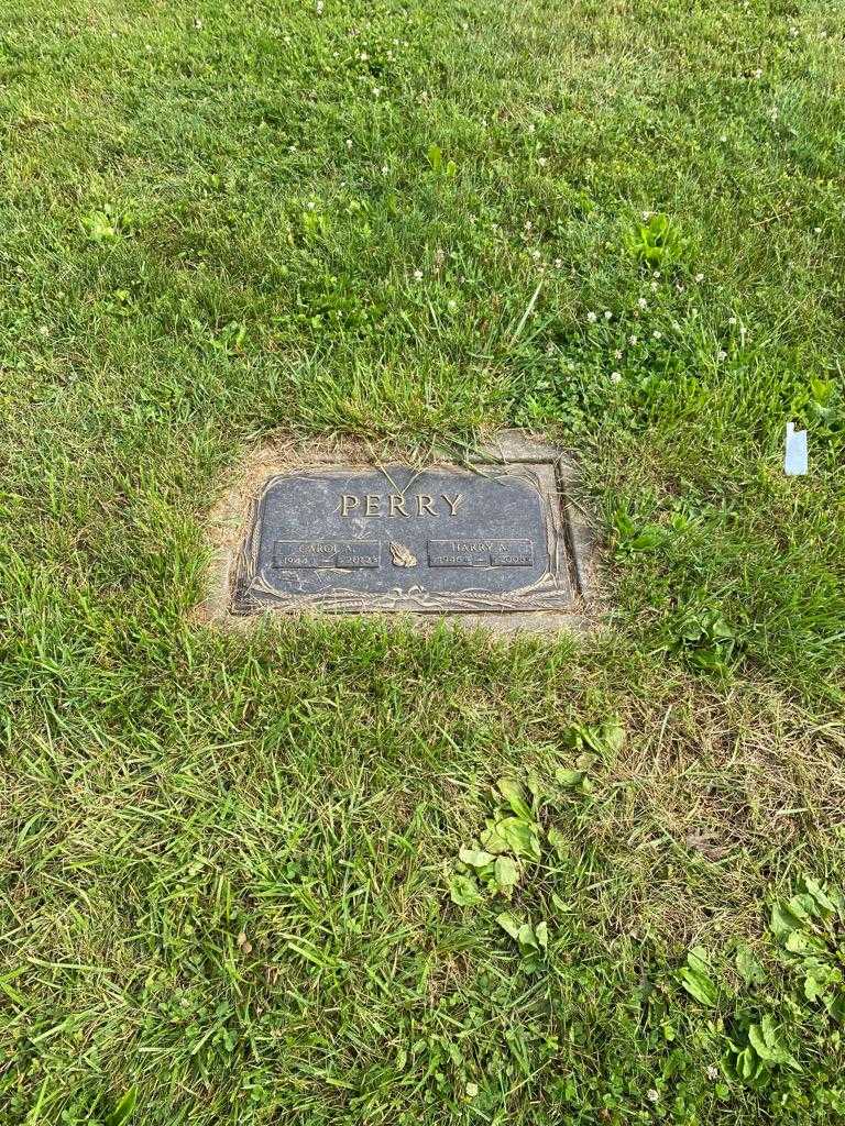 Harry A. Perry's grave. Photo 2