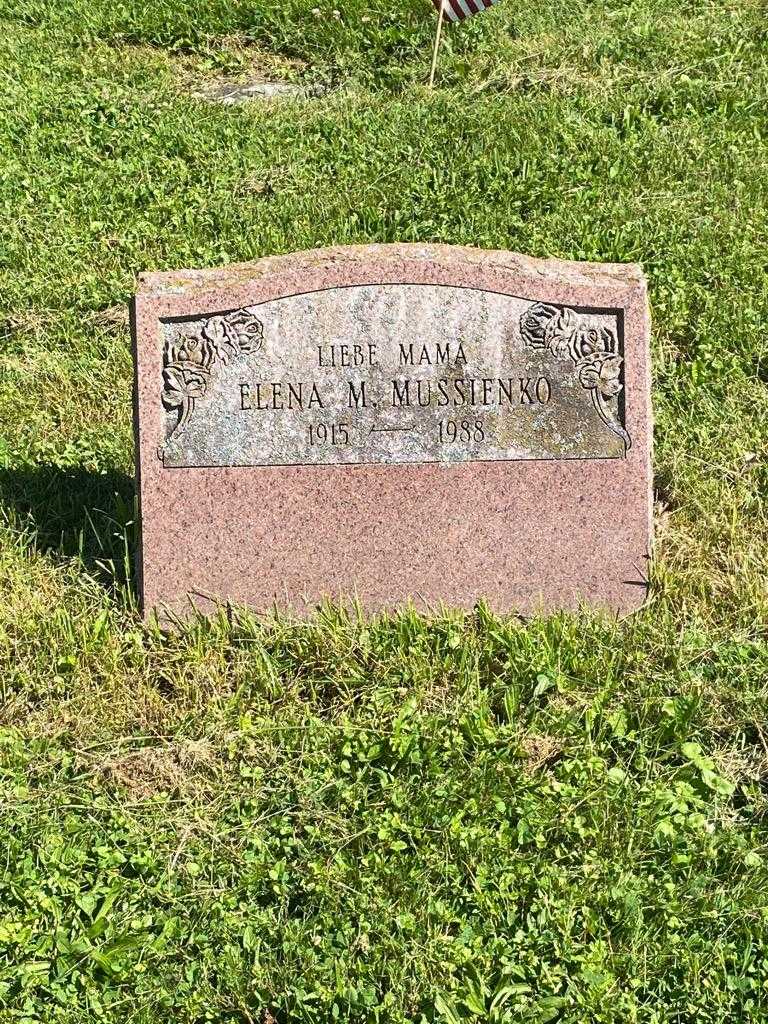 Elena M. Mussienko's grave. Photo 3
