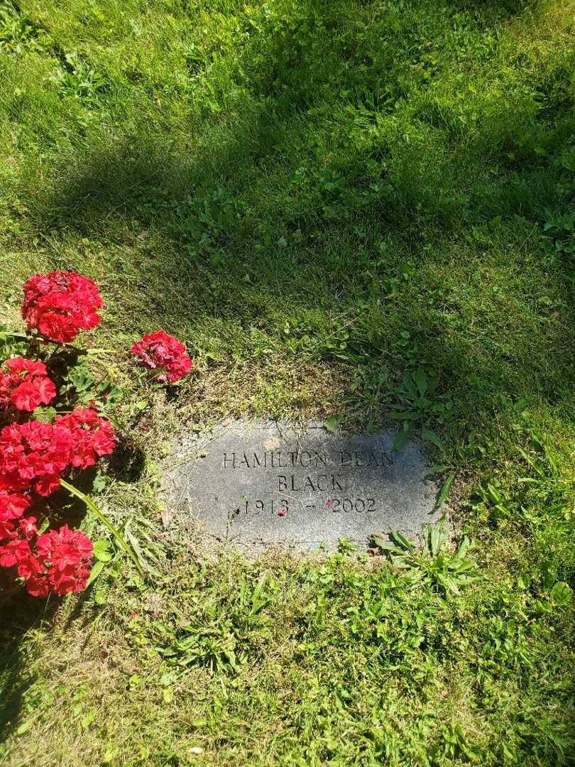 Hamilton Dean Black's grave. Photo 2