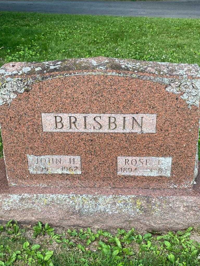 John H. Brisbin's grave. Photo 3