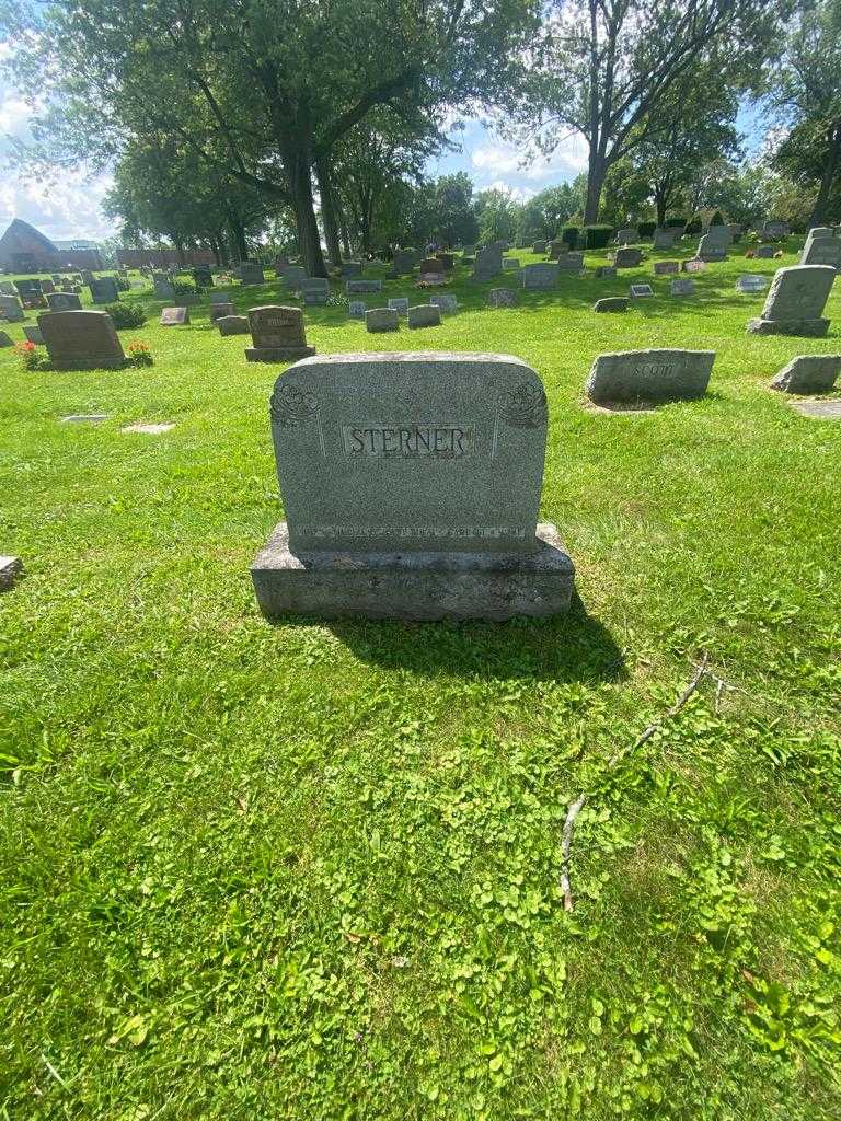 Carl O. L. Sterner's grave. Photo 1