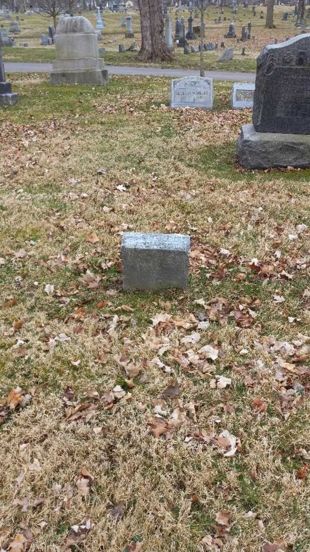 Doroshea Schmidt's grave. Photo 2