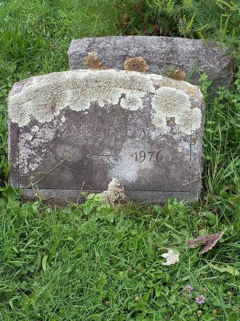 Amelia Fix's grave. Photo 2