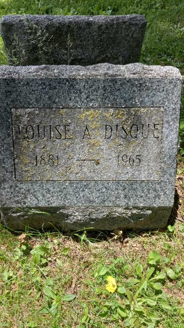 Louise A. Disque's grave. Photo 3