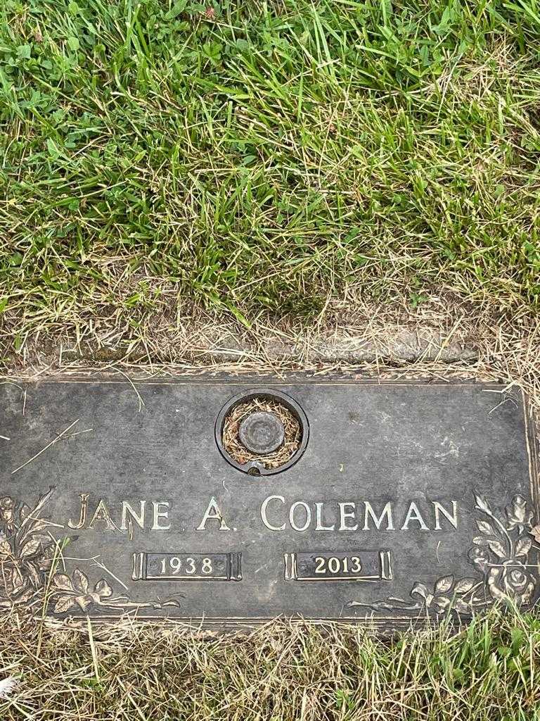 Jane A. Colman's grave. Photo 3