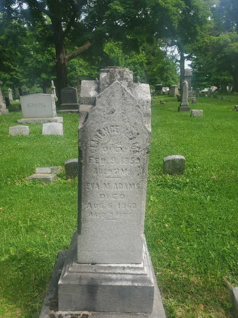 Eva M. Adams's grave. Photo 2