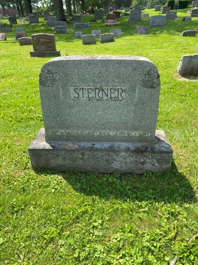 Carl O. L. Sterner's grave. Photo 2