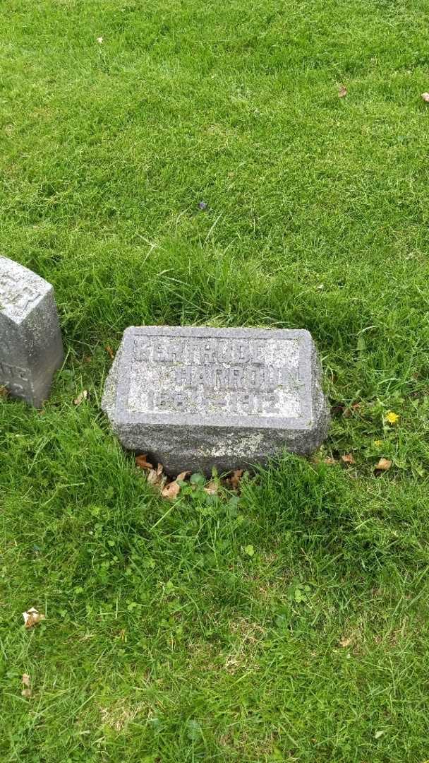 Gertrude Harroun's grave. Photo 2