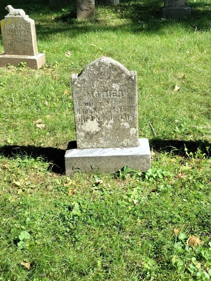 Louisa Goettel Schwanz's grave. Photo 2