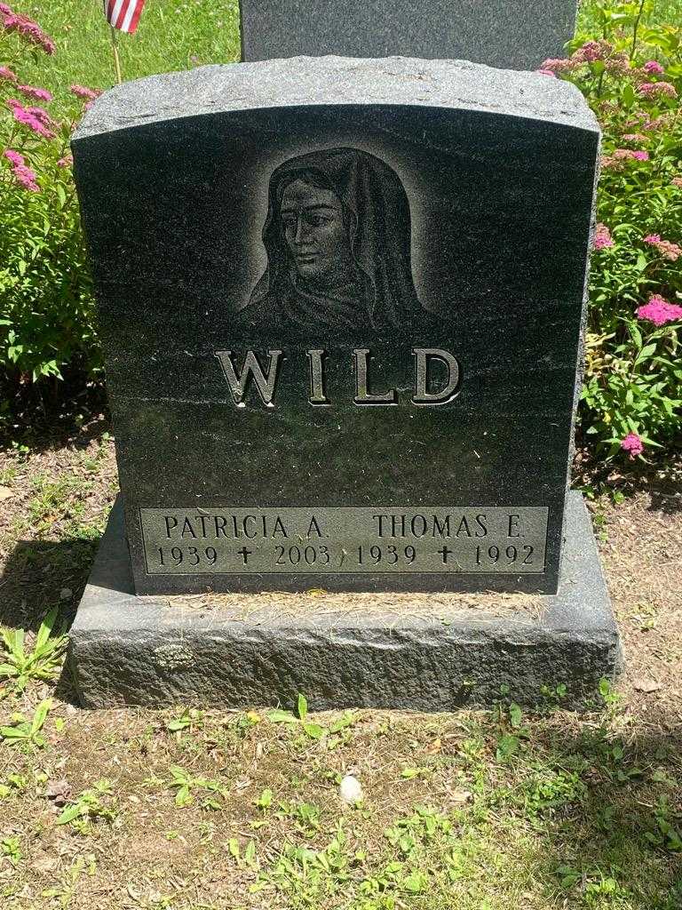 Thomas E. Wild's grave. Photo 3