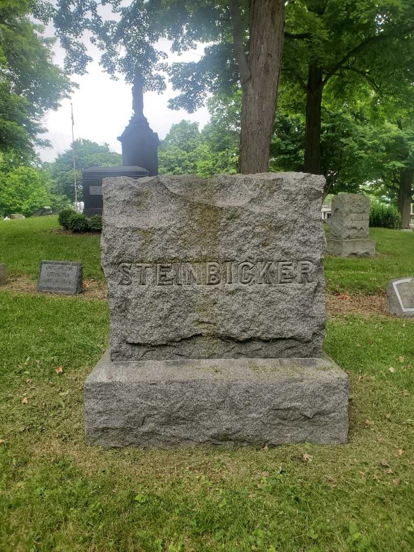 Louis Nelson Steinbicker's grave. Photo 4