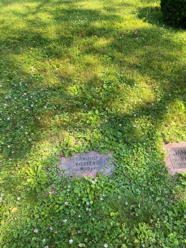 Sherwood J. Foster's grave. Photo 2