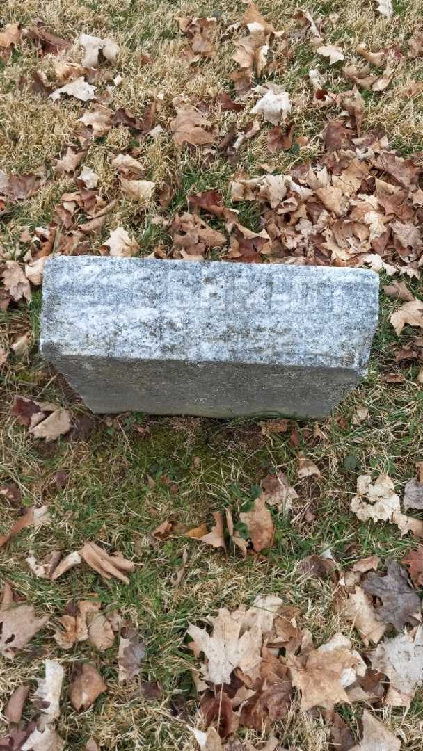 Doroshea Schmidt's grave. Photo 3