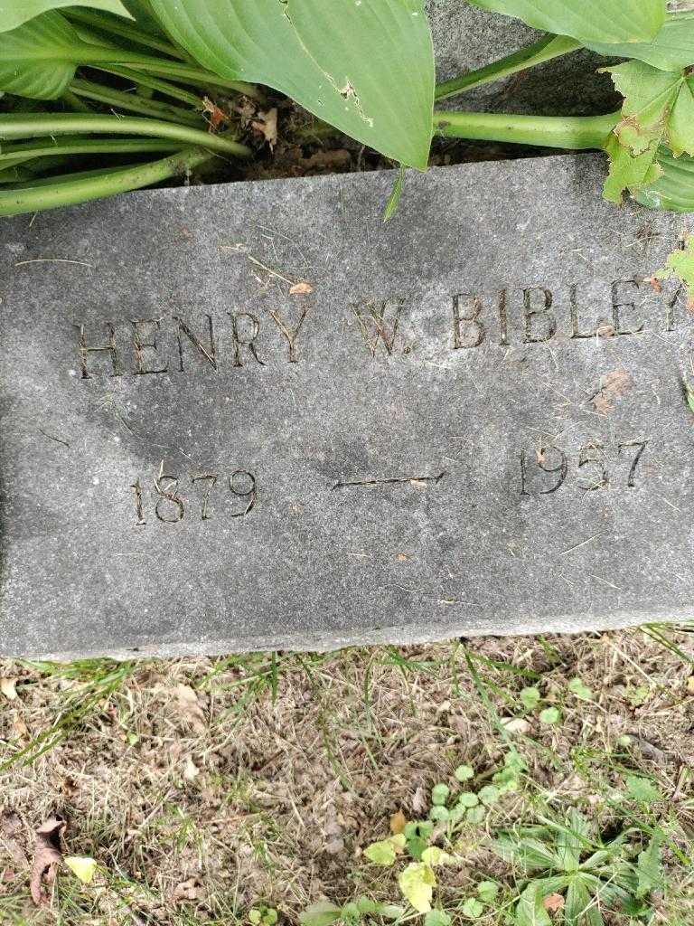 Henry W. Bibley's grave. Photo 1