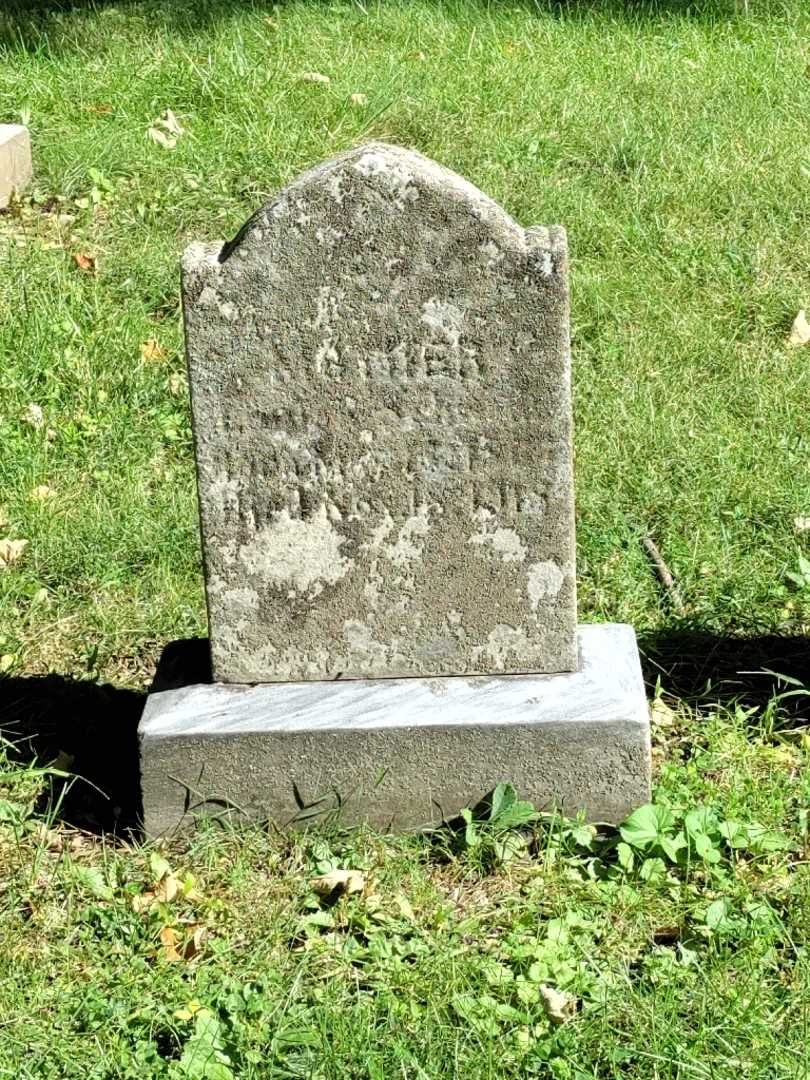 Louisa Goettel Schwanz's grave. Photo 3