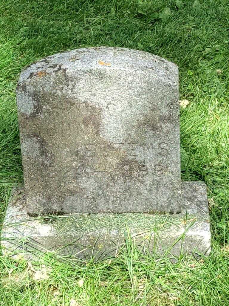 John Mertens's grave. Photo 4