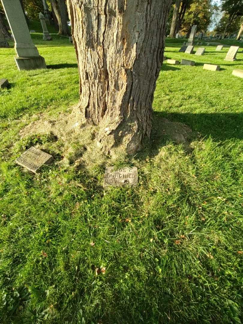 Amos G. Fairchild's grave. Photo 1