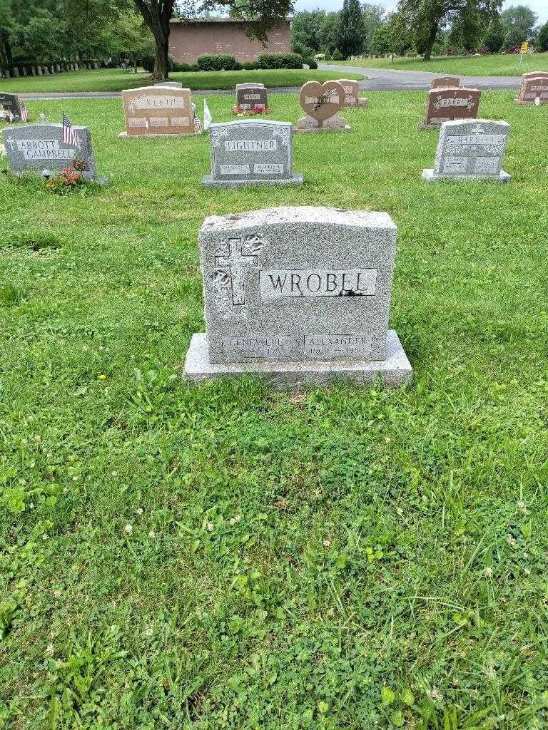 Alexander Wrobel's grave. Photo 1