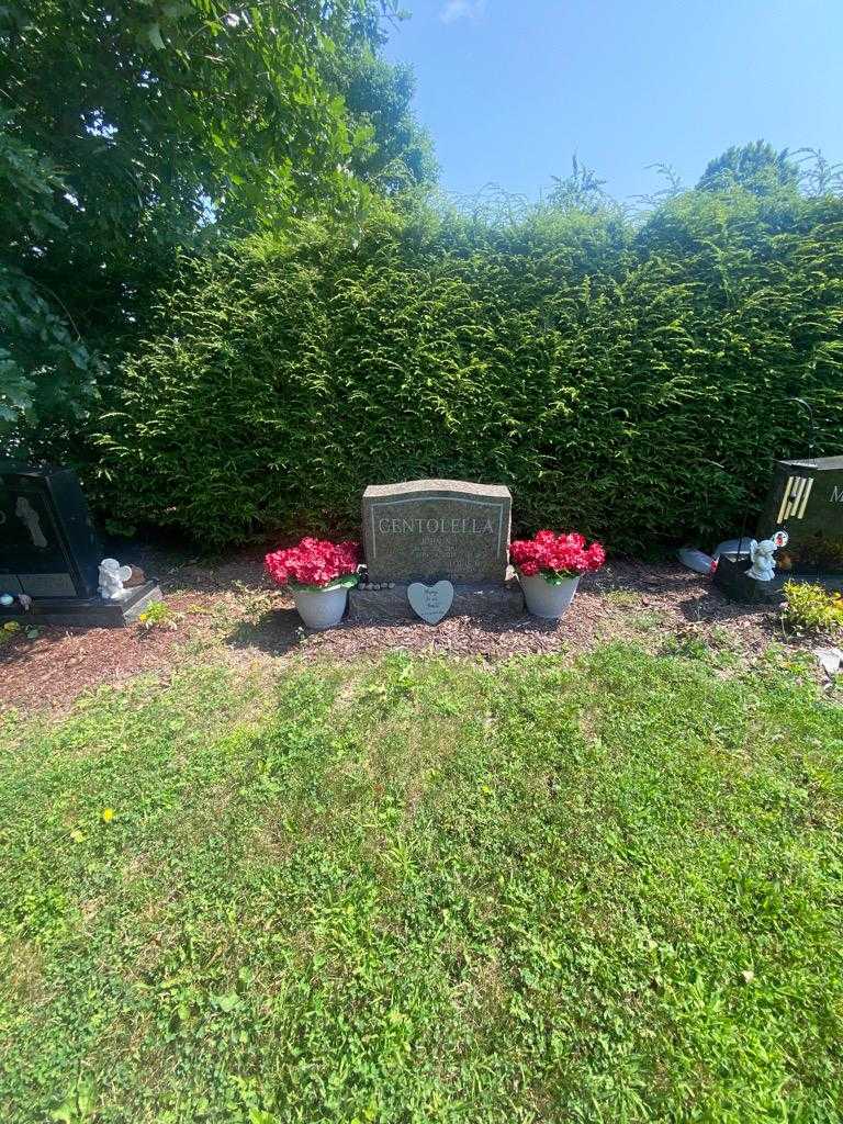 Louis M. Centolella's grave. Photo 3