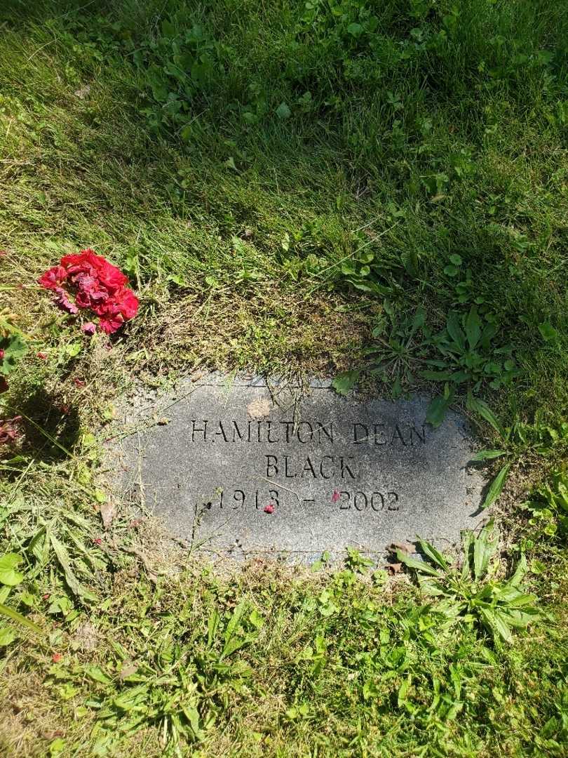 Hamilton Dean Black's grave. Photo 3