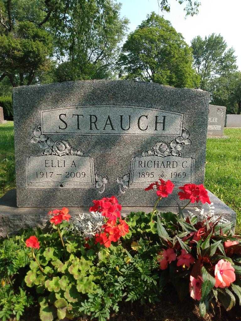 Elli A. Strauch's grave. Photo 2