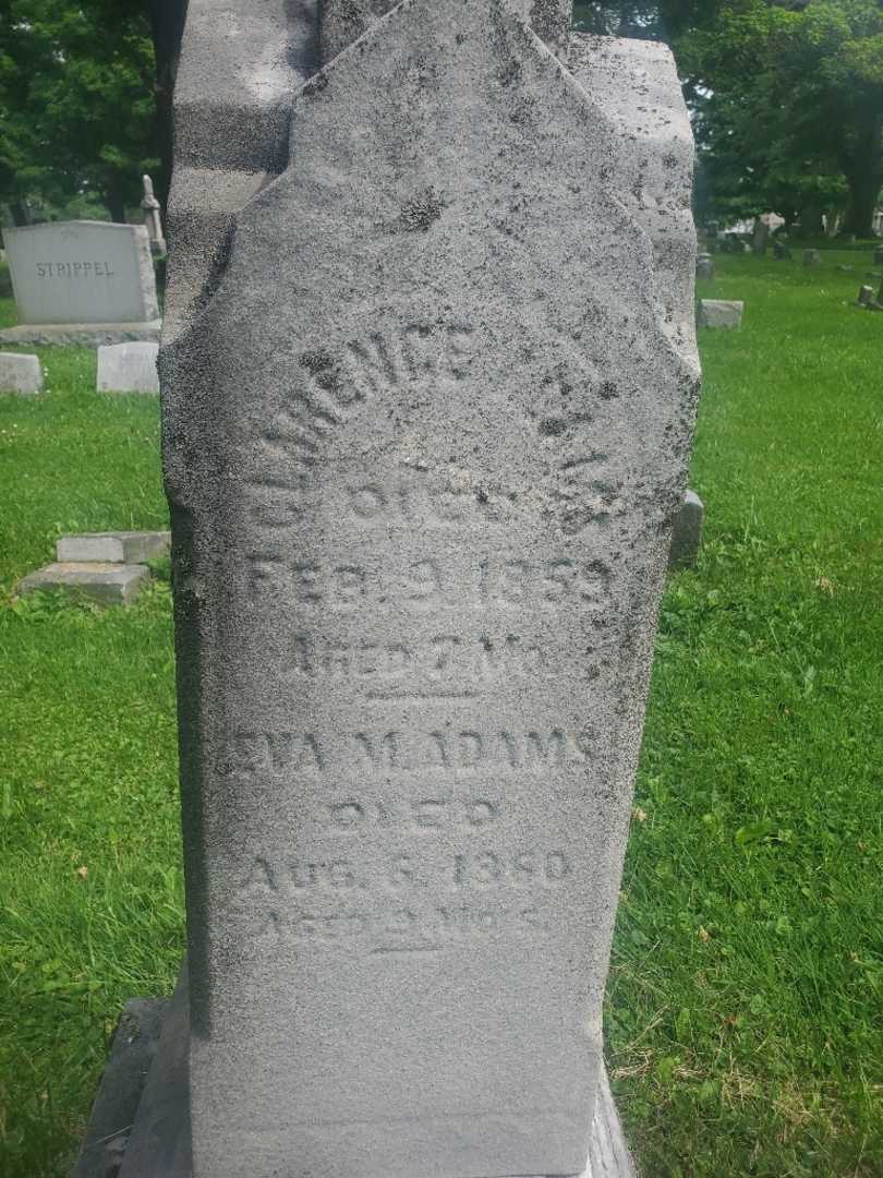 Eva M. Adams's grave. Photo 3