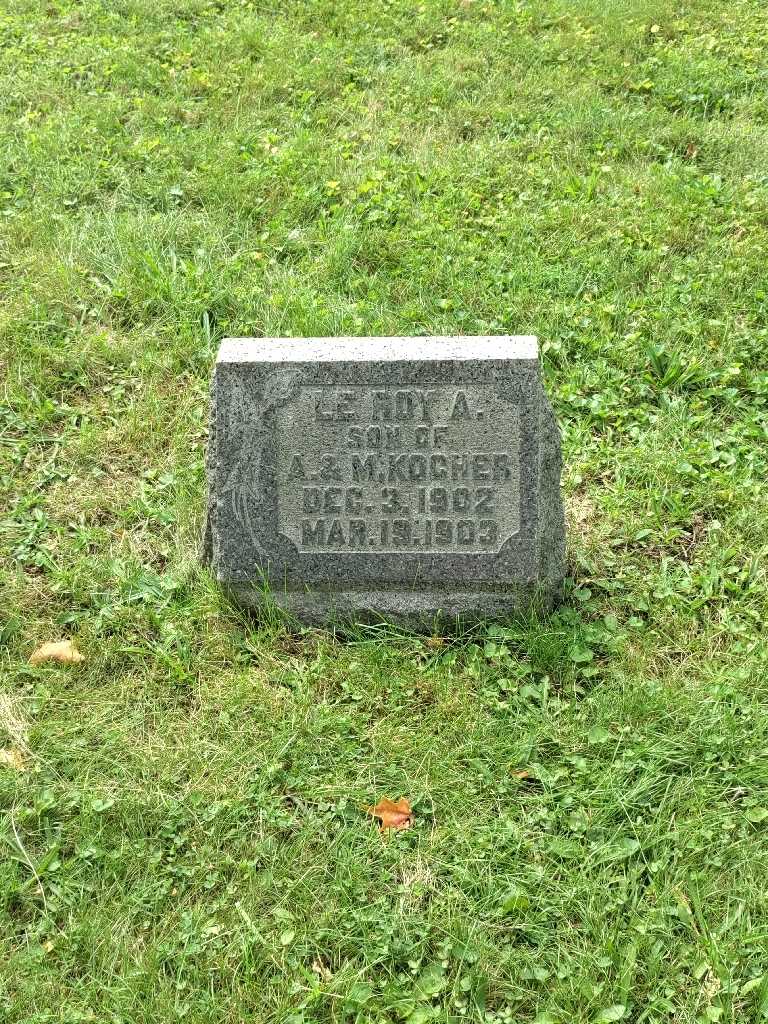 Leroy A. Kocher's grave. Photo 2