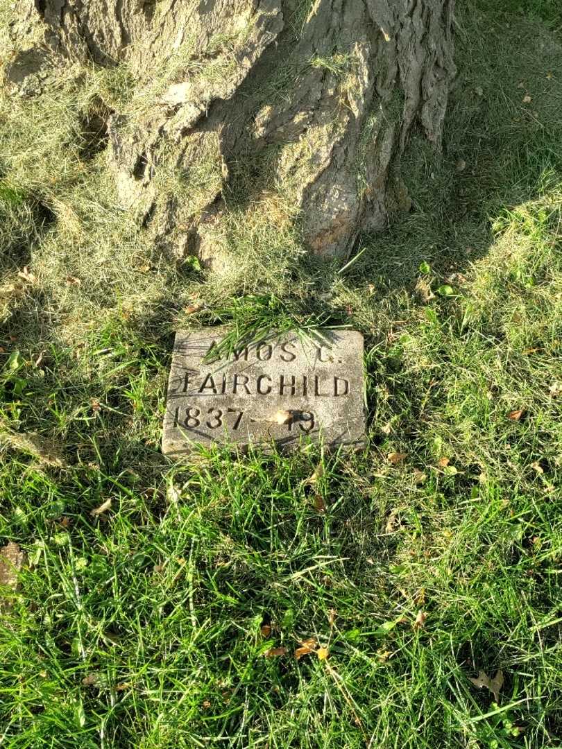 Amos G. Fairchild's grave. Photo 2