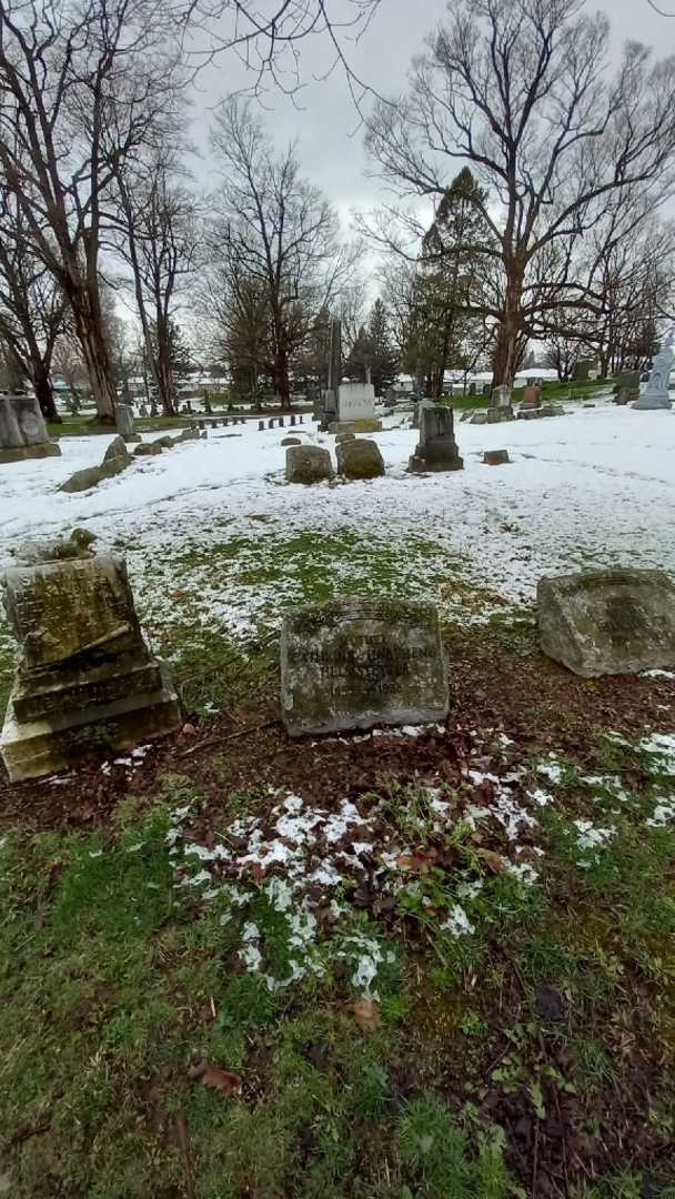 Cathrine B. Unbehend Helmstetter's grave. Photo 1