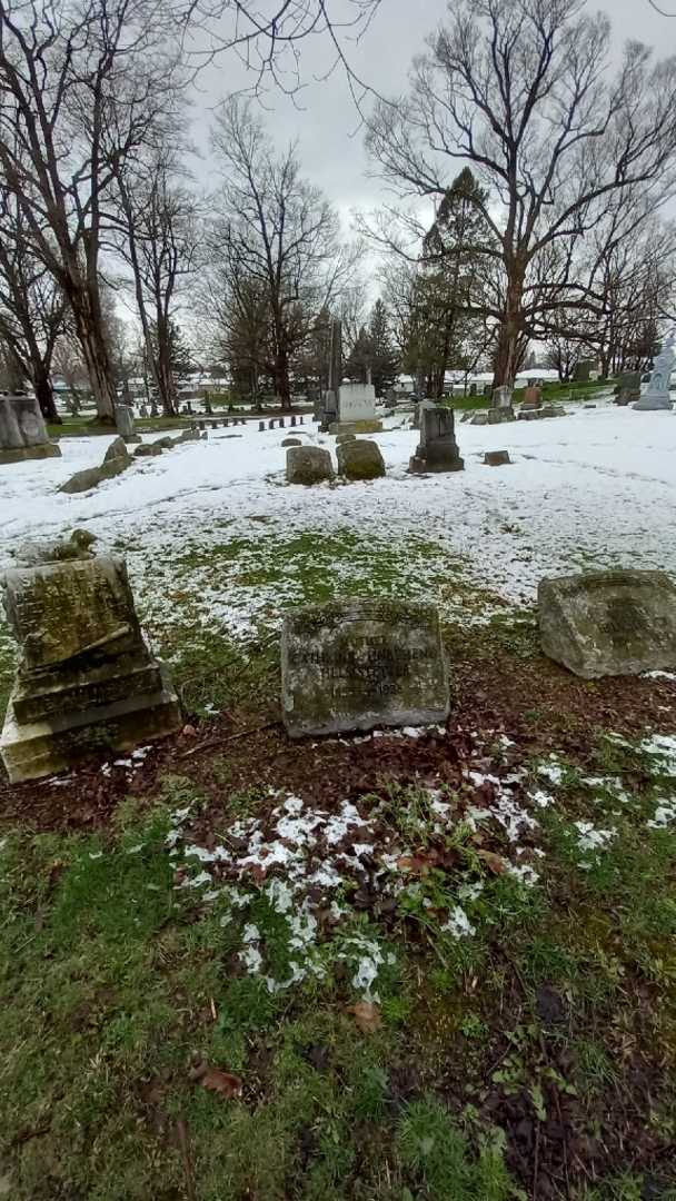 Cathrine B. Unbehend Helmstetter's grave. Photo 1