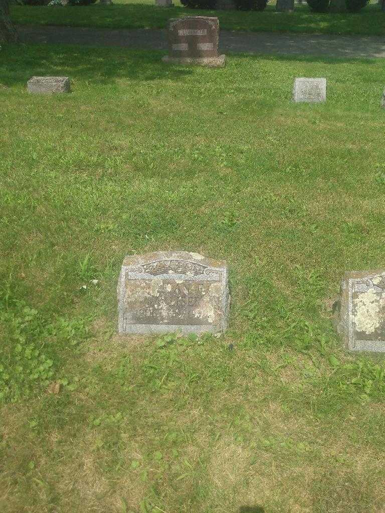 Marian F. Walliser's grave. Photo 1