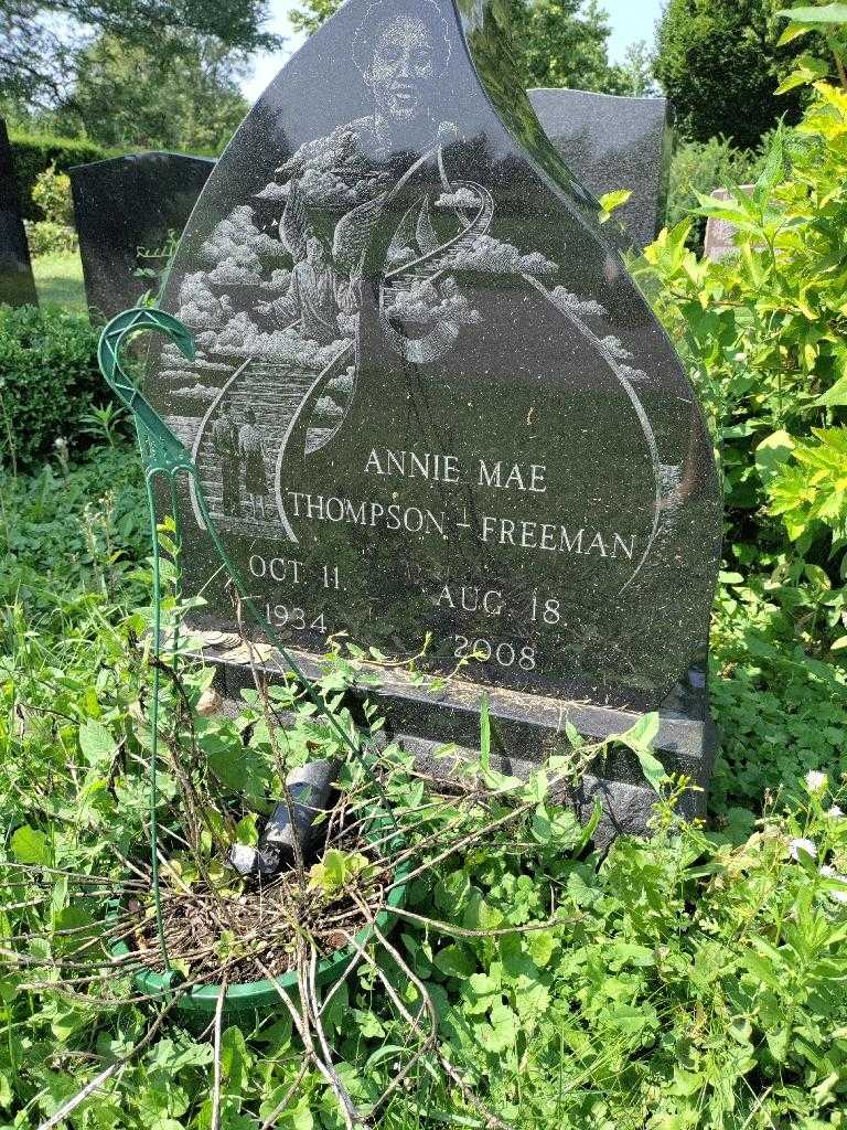 Annie Mae Thompson-Freeman's grave. Photo 3